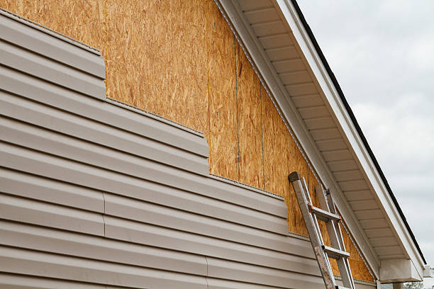 Professional Siding Repair technician working in Burlington, KY